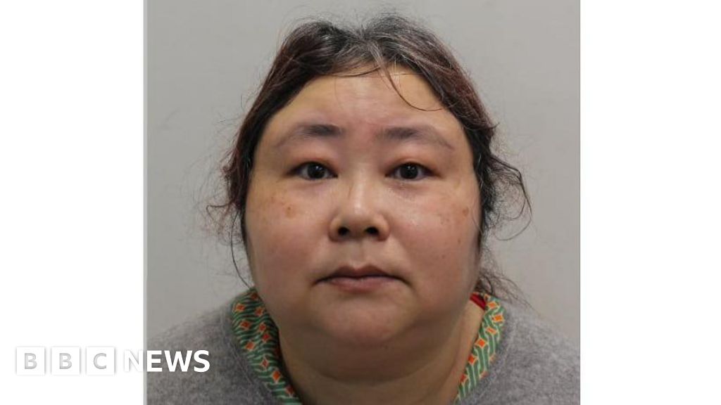Chinese woman convicted in UK over £5.5bn bitcoin scam