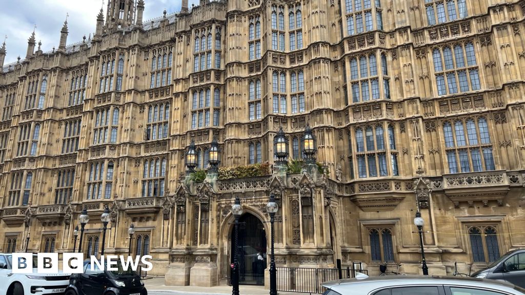 Hundreds of Parliament security staff start strike action