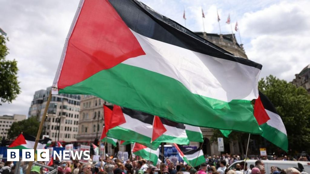 Government can challenge group’s appeal against ban