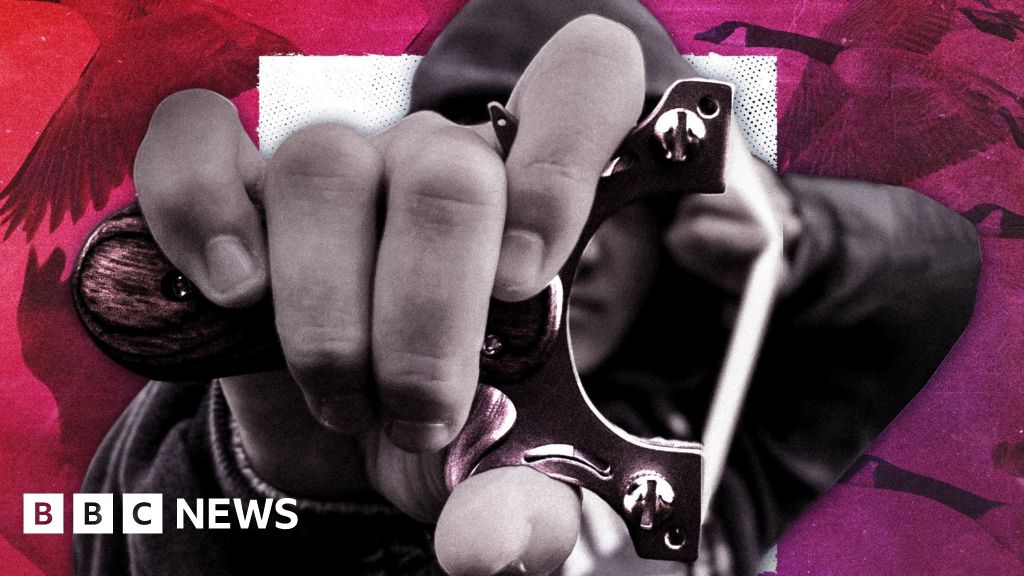 Kids could kill with catapults, farmer warns Kids could kill with catapults, farmer warns