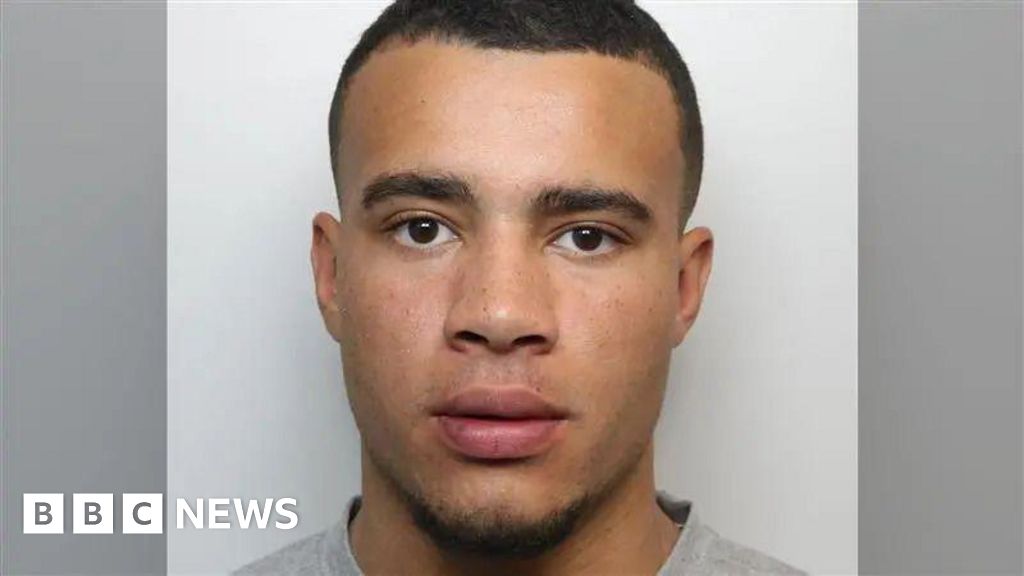 TikTok star HSTikkyTokky arrested after manhunt