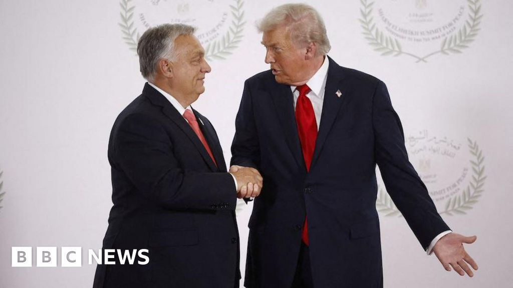 Viktor Orban’s dilemma – Russian oil or Trump’s favour