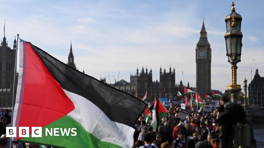 Oxford student arrested over chants at pro-Palestinian protest Oxford student arrested over chants at pro-Palestinian protest