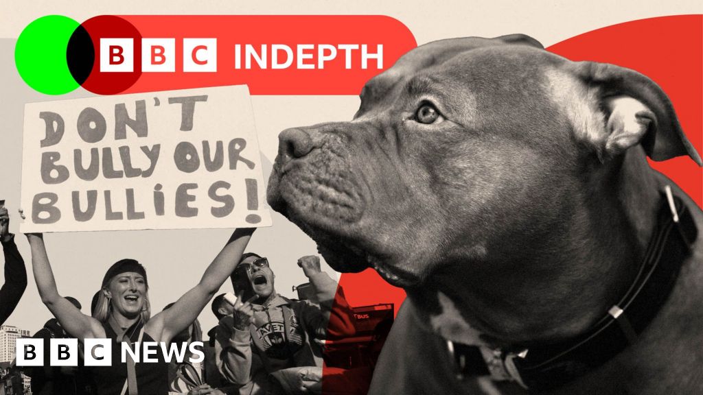 Why dog attacks are still rising