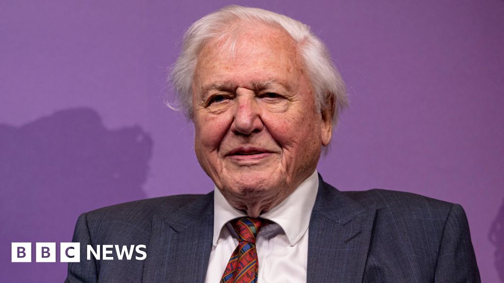Sir David Attenborough is oldest Daytime Emmy winner for Secret Lives of Orangutans