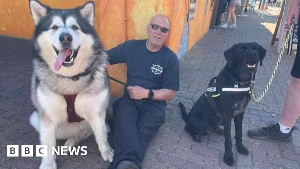 Dog owner on life with a 13-stone Alaskan Malamute