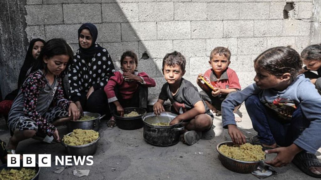 Gaza health crisis will last for ‘generations’, WHO chief warns