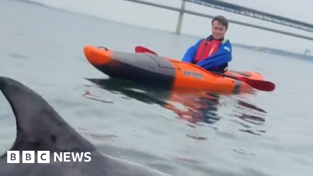 Kayakers have ‘incredible’ encounter with dolphin in Firth of Forth