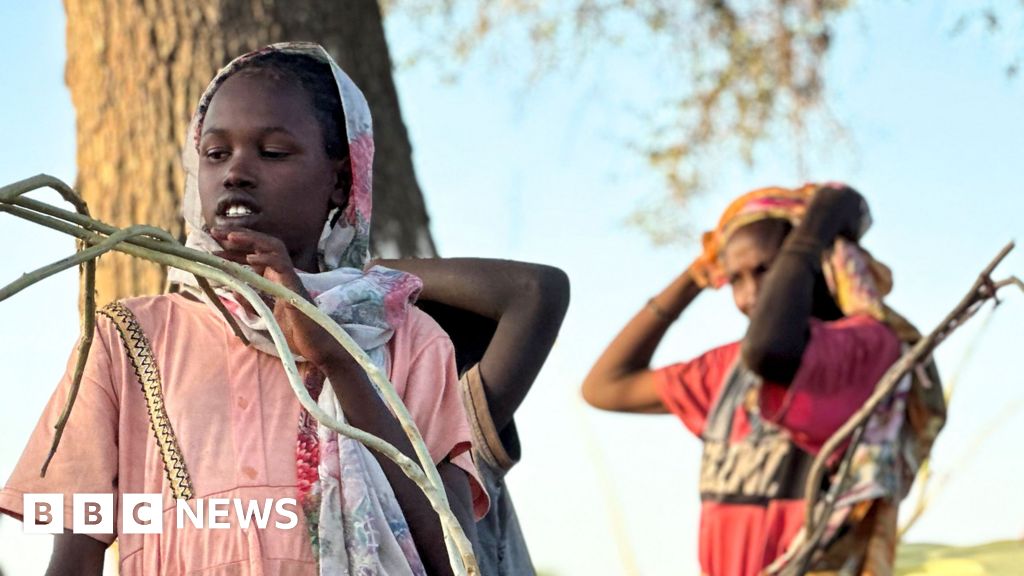 More than 60,000 flee el-Fasher after its capture by RSF militia, UN says