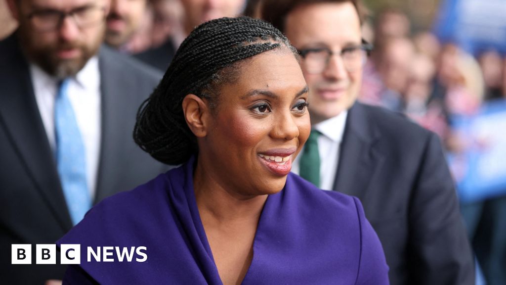 Conservatives pledge to remove 750,000 migrants under borders plan