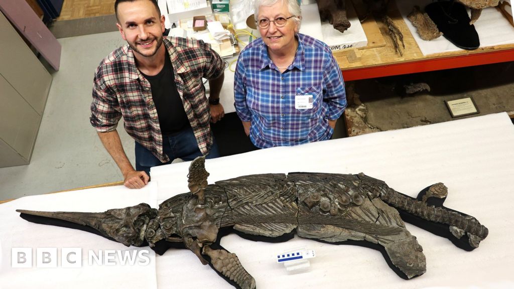 Fossil found on UK coast is unique ‘sword dragon’ species Fossil found on UK coast is unique ‘sword dragon’ species