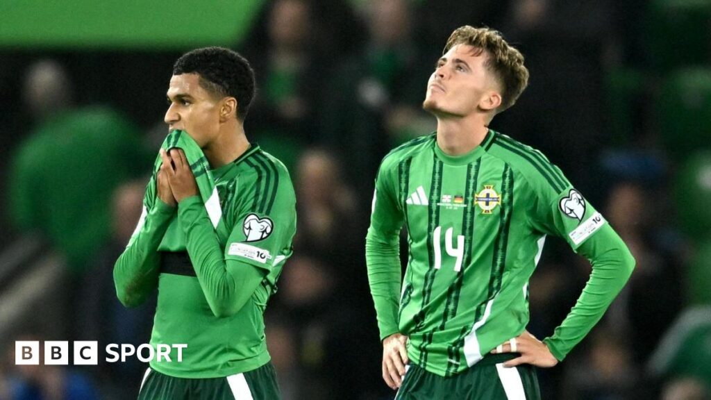 Northern Ireland 0-1 Germany: Northern Ireland down but not out after ‘sore’ defeat