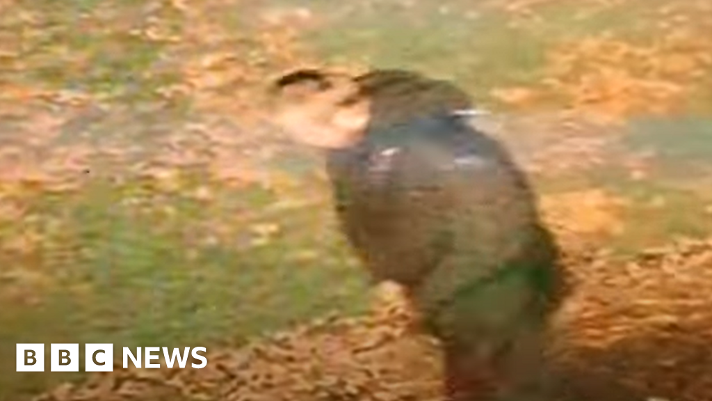 Suspect video released after ‘racially aggravated’ Walsall rape Suspect video released after ‘racially aggravated’ Walsall rape