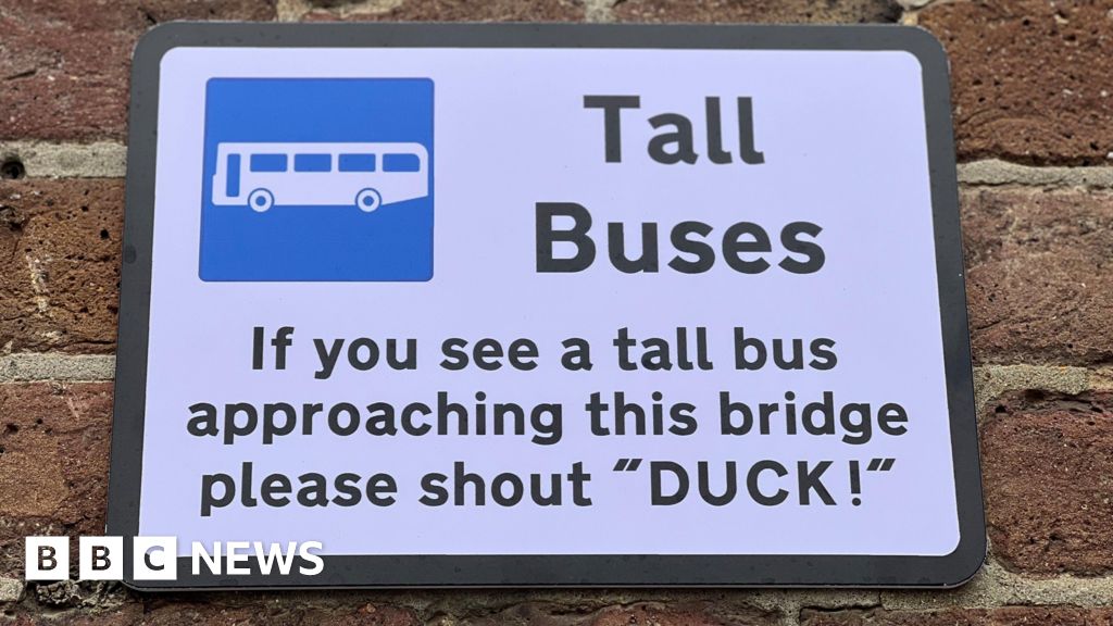 Chelmsford tongue-in-cheek signs must end, says Essex Highways
