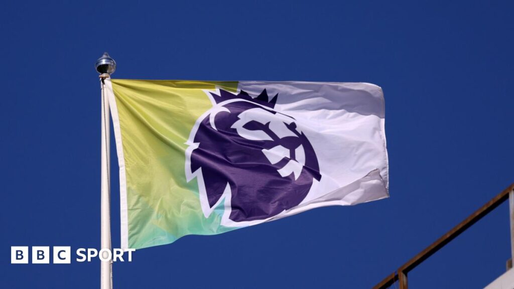 Premier League clubs vote in favour of new financial rules