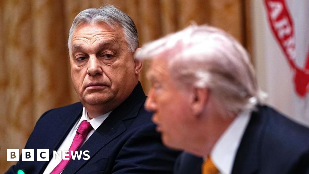 What Hungary’s Viktor Orban did – and didn’t