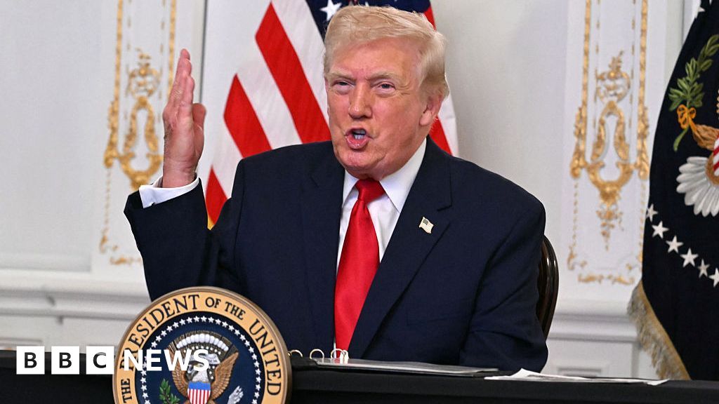 Trump says US will ‘permanently pause migration’ from ‘third world countries’