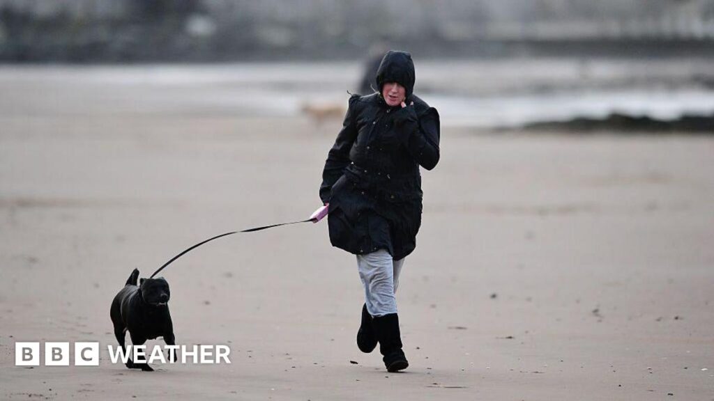 Weather warnings issued by Met Office as strong winds set to hit UK