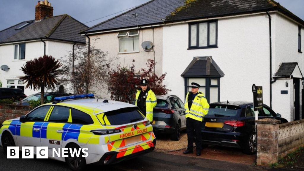 XL bully killed nine-month-old baby boy in Rogiet home XL bully killed nine-month-old baby boy in Rogiet home