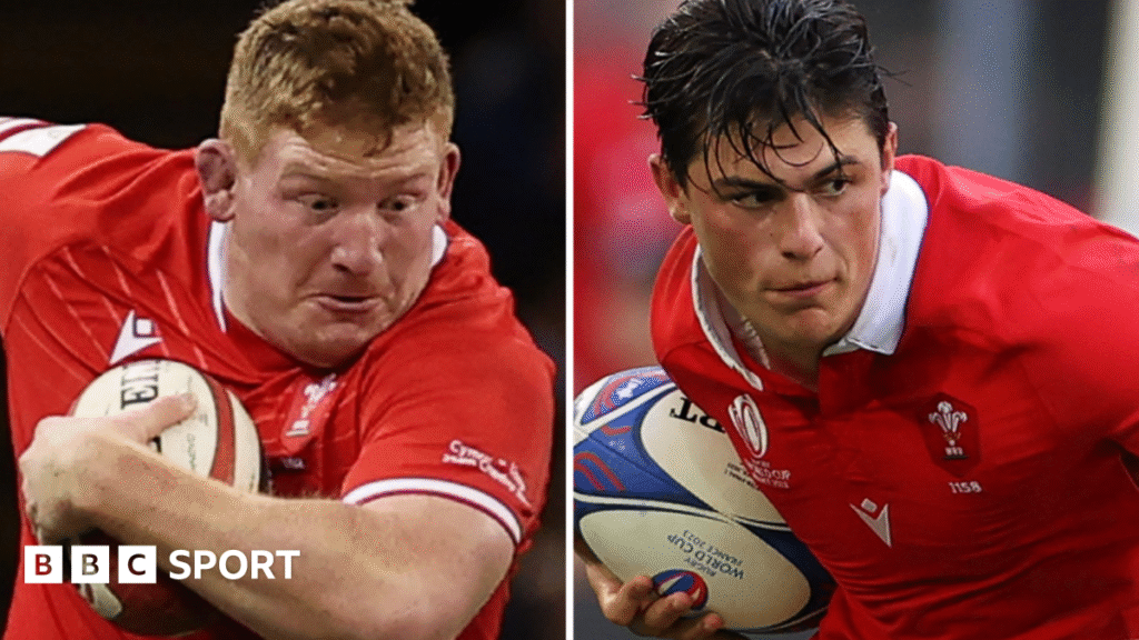 Wales v Argentina: Rhys Carre given start with Louis Rees-Zammit on bench Wales v Argentina: Rhys Carre given start with Louis Rees-Zammit on bench