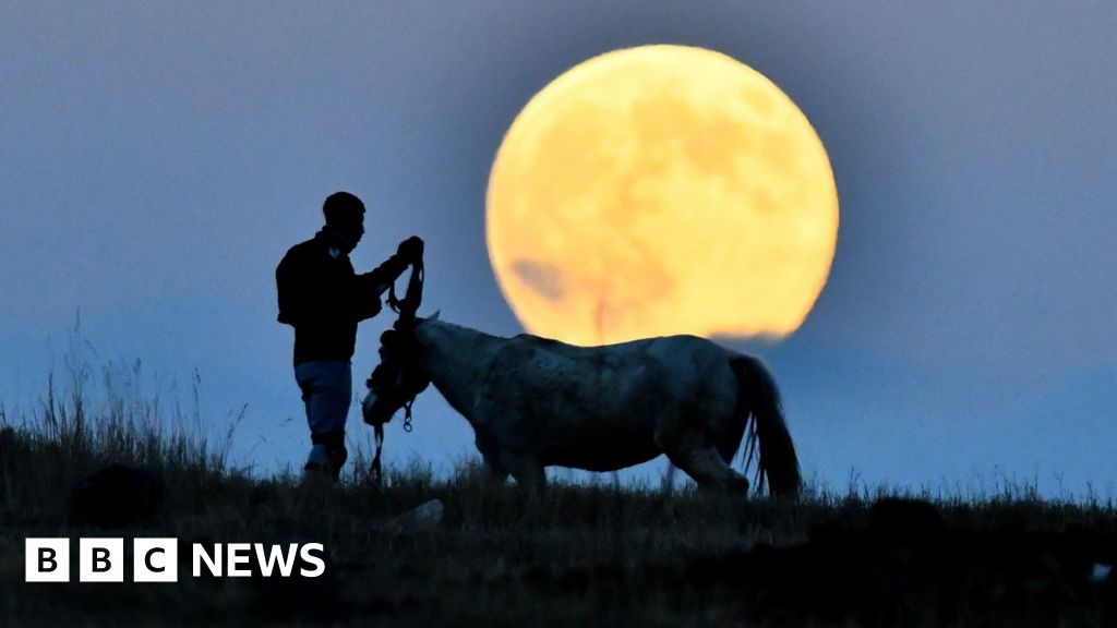 Beaver supermoon seen around the world