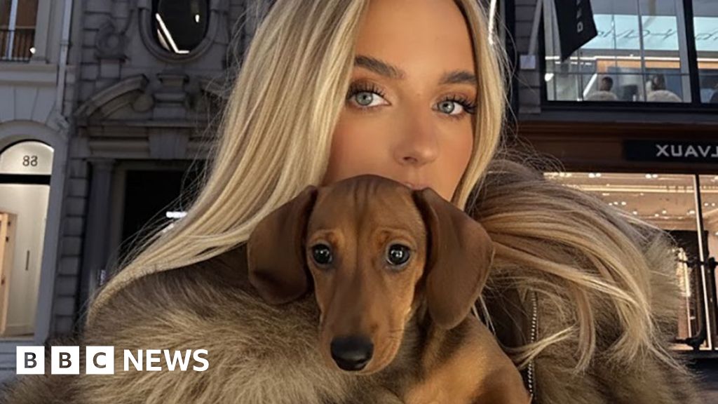 No, your favourite influencer hasn’t got a dozen Dachshund dogs. It’s just AI