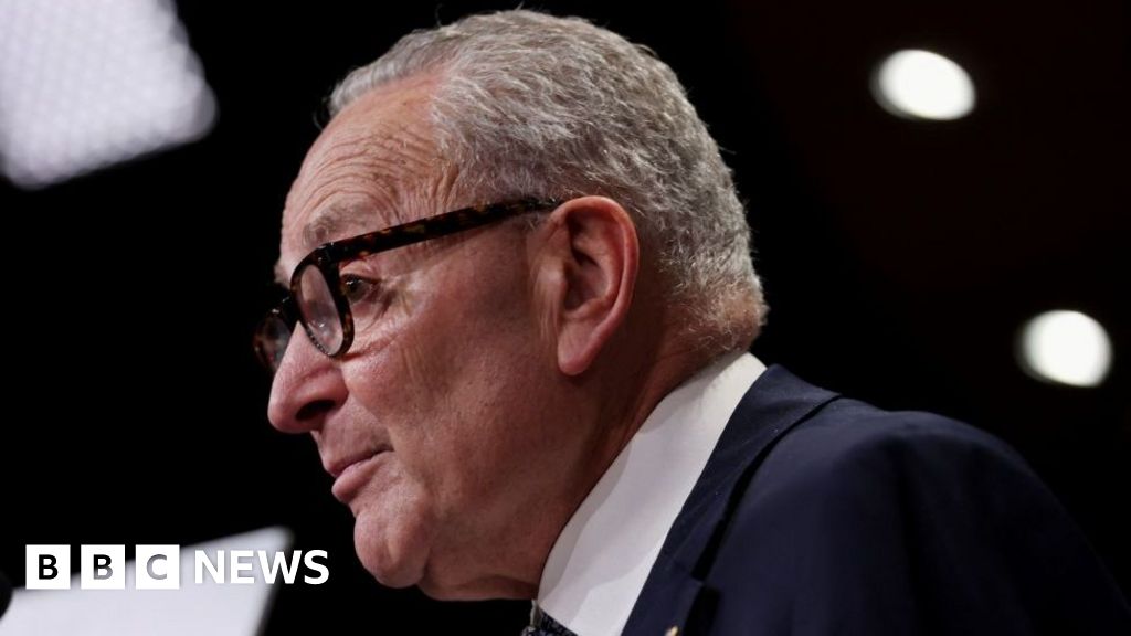 US Democrats still face big questions, despite election wins