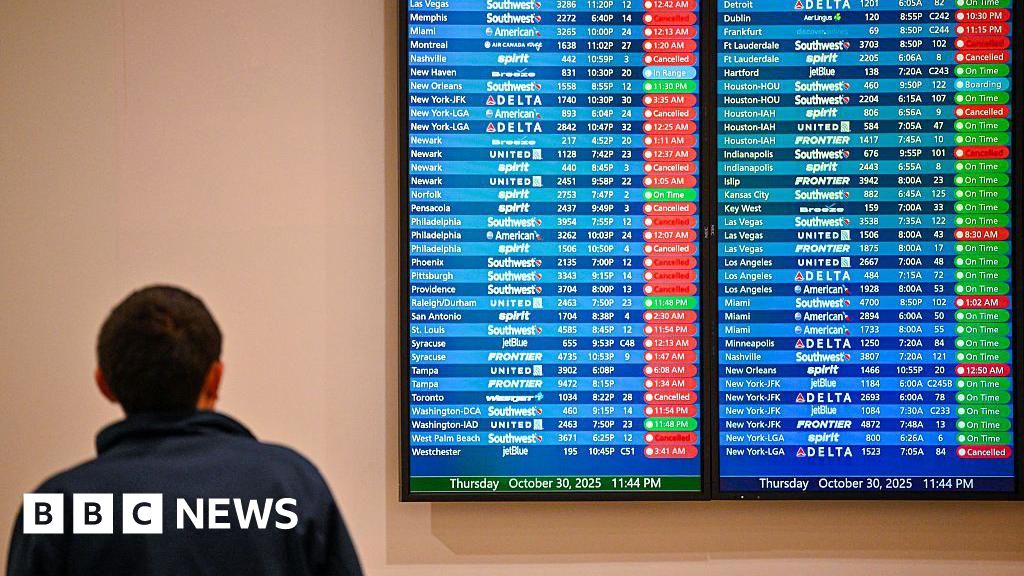 Staff shortages from government shutdown cause delays at US airports Staff shortages from government shutdown cause delays at US airports