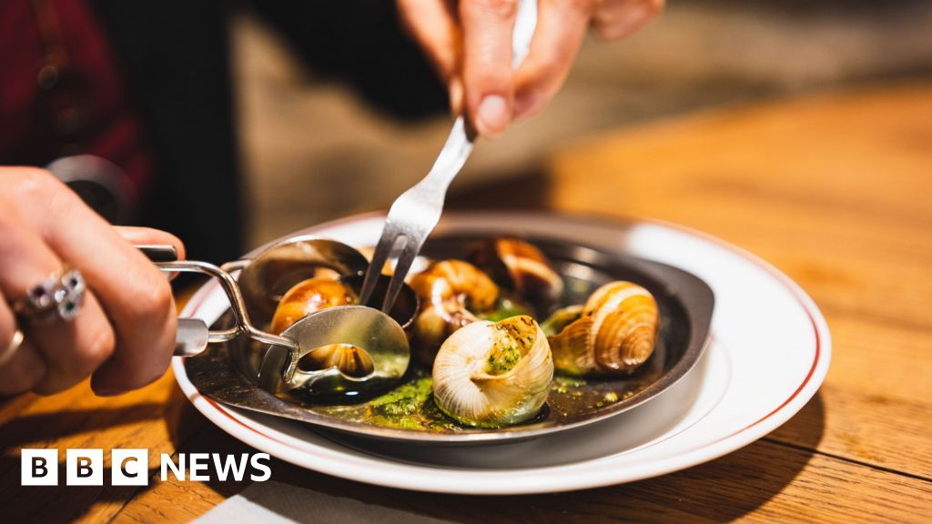 French farm has €90,000 worth of escargot snails stolen French farm has €90,000 worth of escargot snails stolen