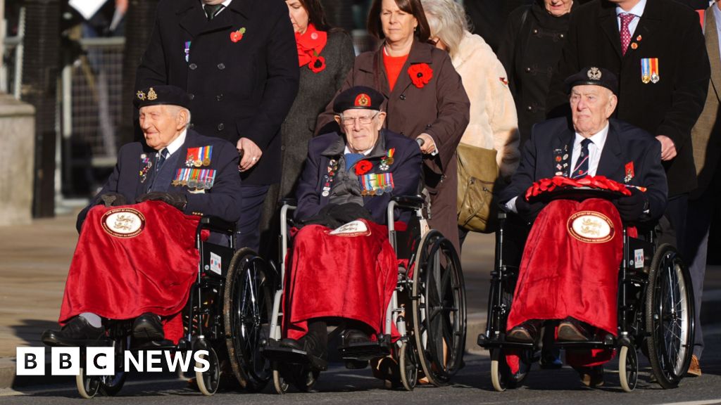 A moment of stillness for Royal Family and veterans