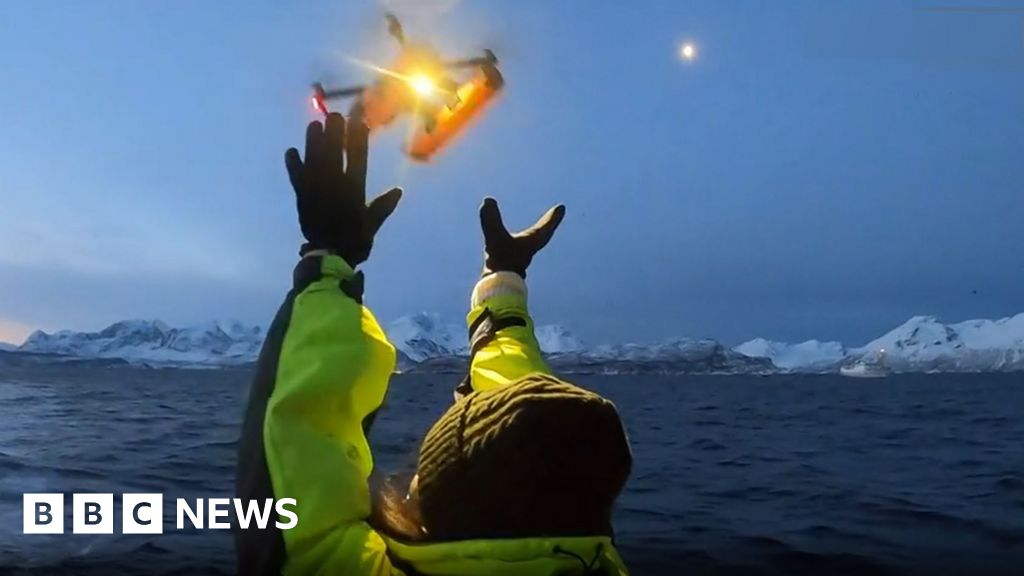 Drones detect deadly virus in Arctic whales’ breath