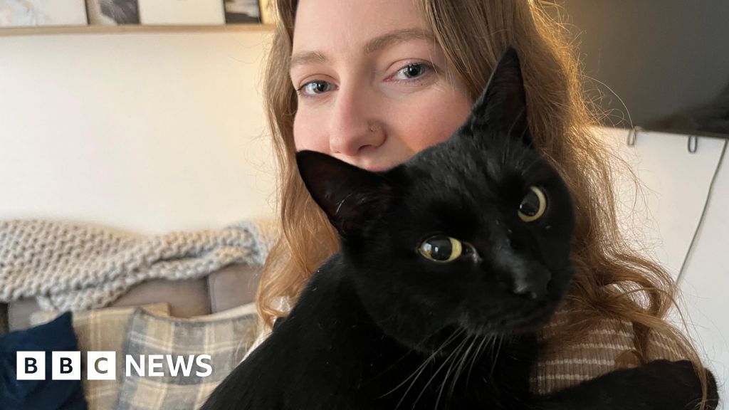‘Christmas miracle’ as Haddenham cat comes home after five years