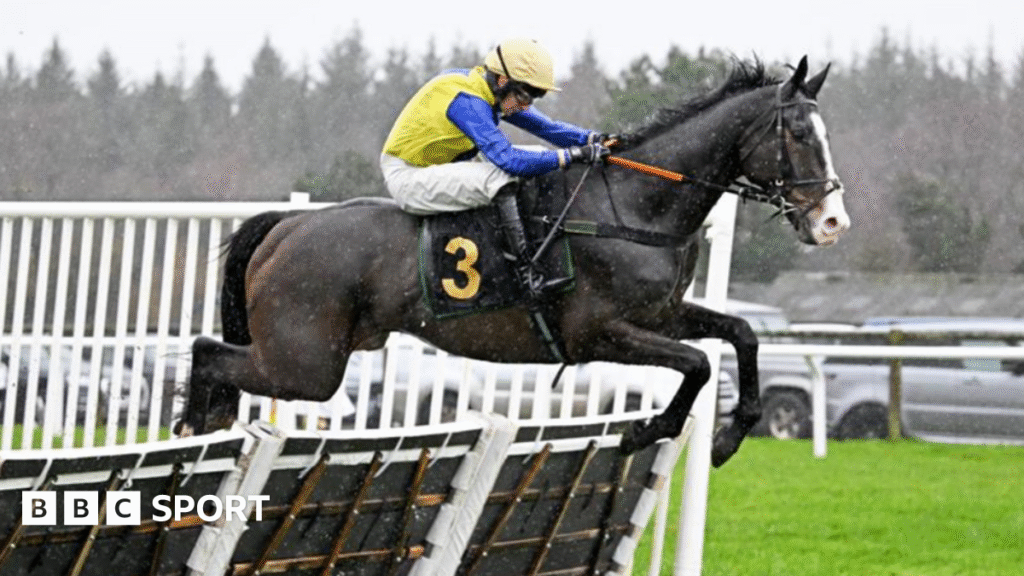 300-1 Blowers becomes longest-priced winner in UK horse racing history