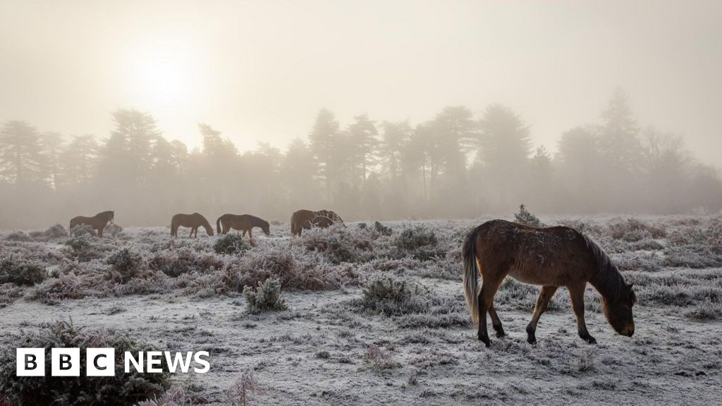 UK prepares for New Year celebrations as cold weather warnings issued