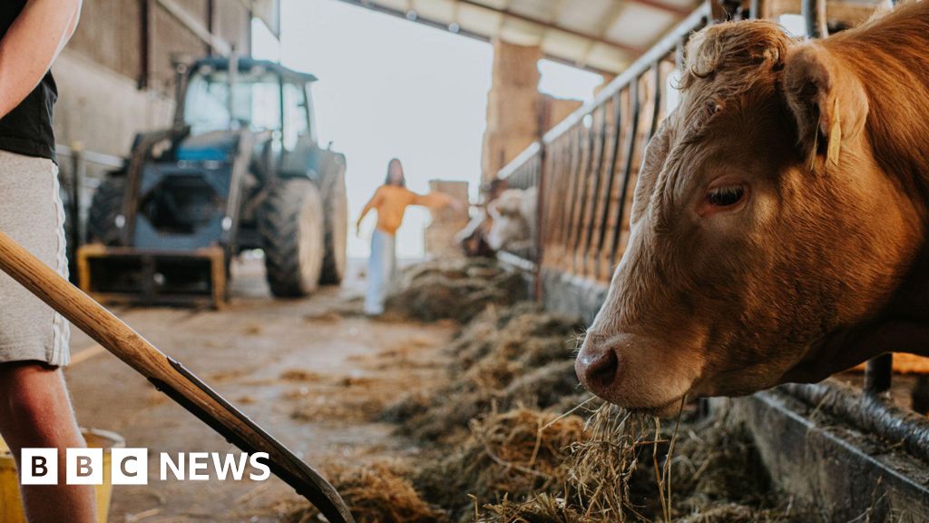 Lib Dems call for farming equivalent of Teach First scheme