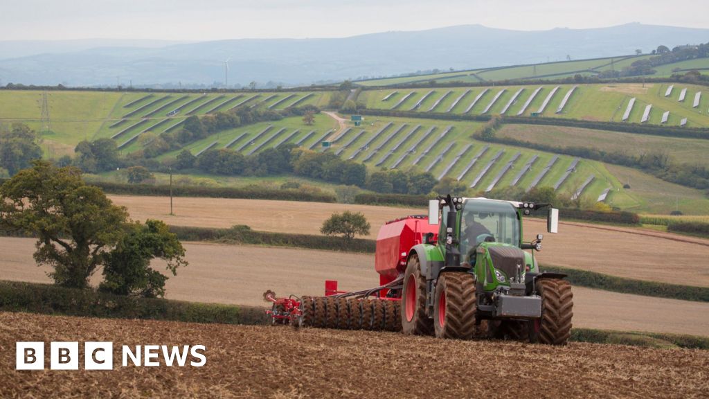 ‘Bewildered’ farmers need new deal to be profitable