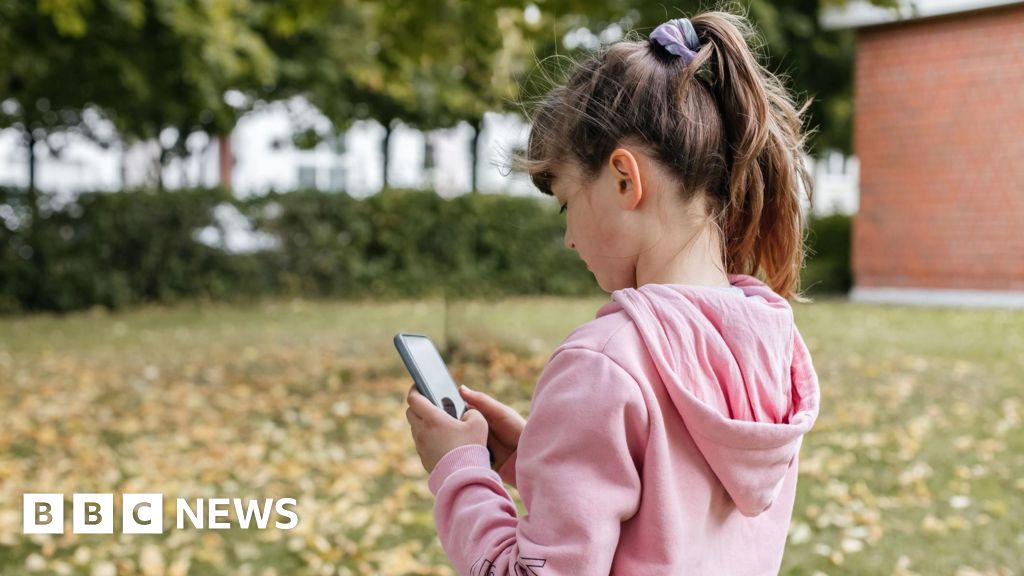 Australia social media ban sets up fight with big tech over children’s safety Australia social media ban sets up fight with big tech over children’s safety