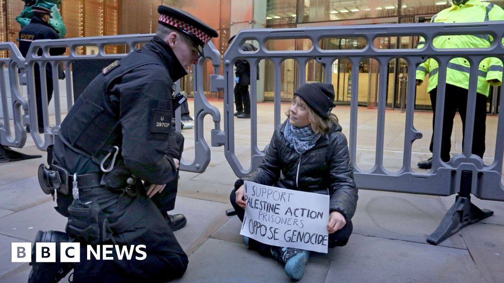 Greta Thunberg arrested over Palestine Action placard