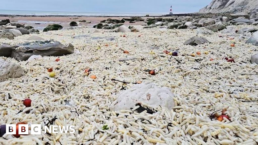 Chip wreck! Thousands of chips wash ashore near Eastbourne Chip wreck! Thousands of chips wash ashore near Eastbourne