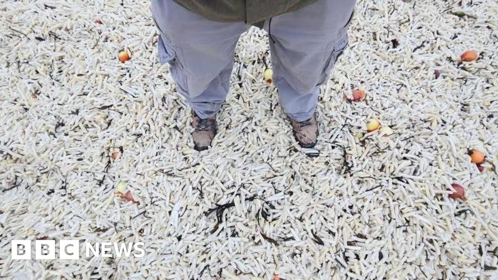 Chips washing up on Eastbourne beach sparks action from locals