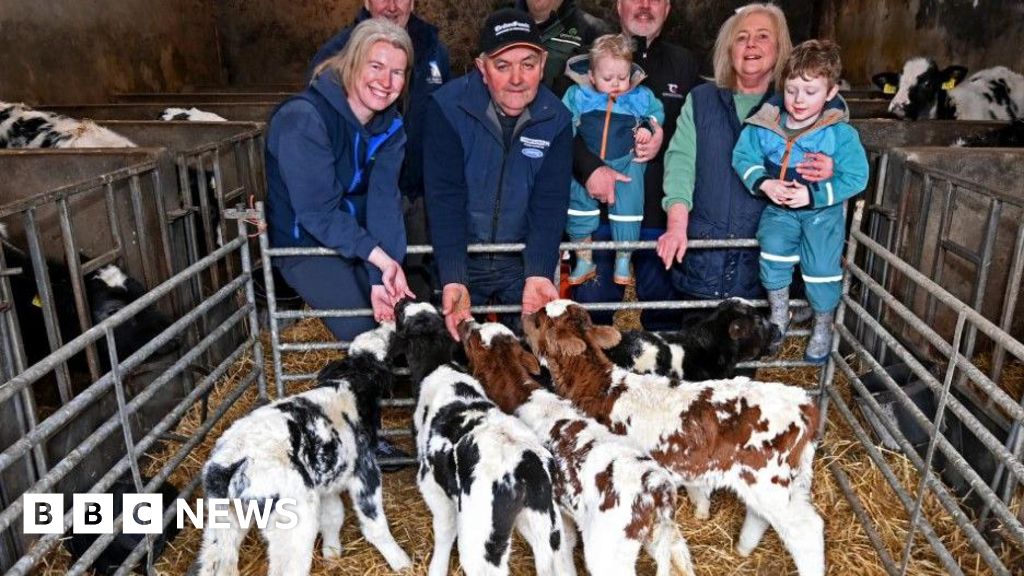 ‘Exceptionally rare’ – farmer shocked after five calves born from one cow