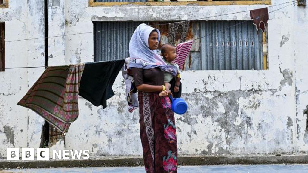 Top UN court begins hearings in Rohingya genocide case