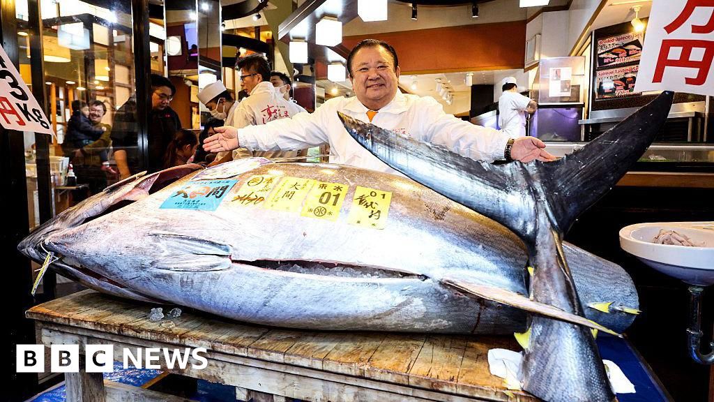 Tokyo fish auction sees bluefin tuna fetching record .2m
