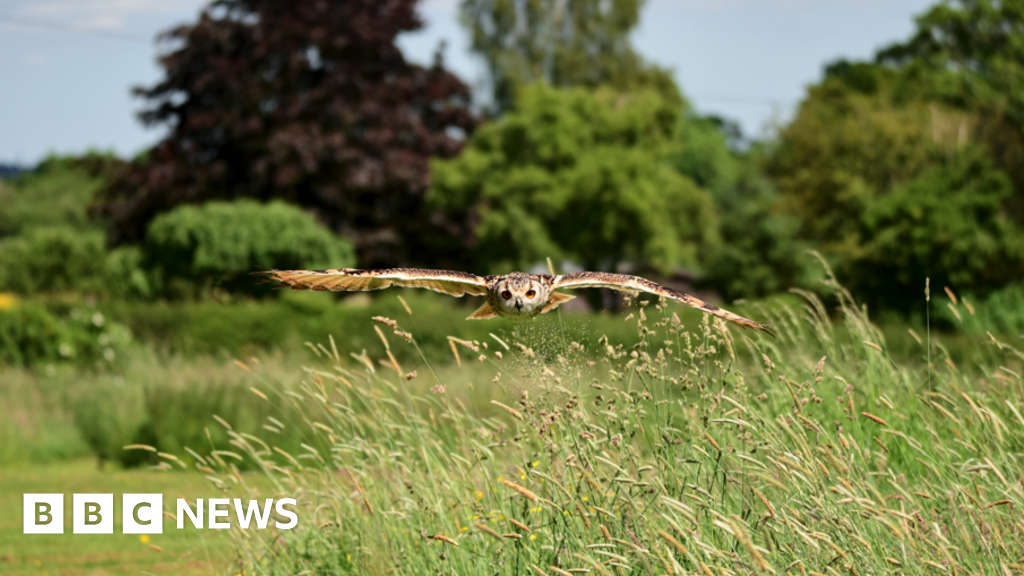 Photographer’s calendar raises £13k for Maidenhead’s Thames Hospice
