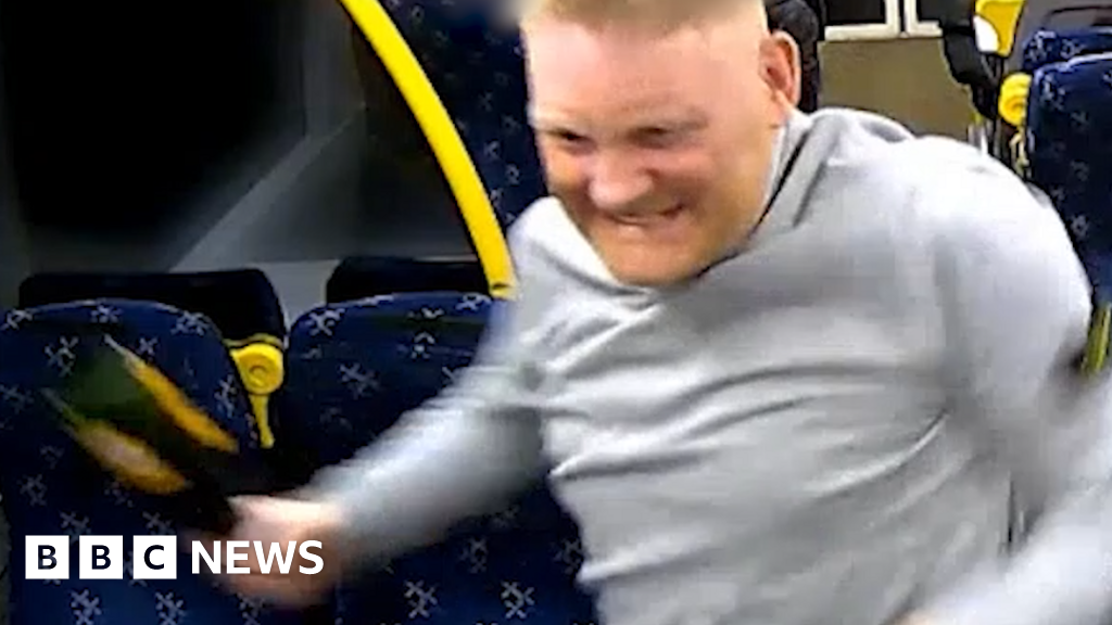 Bottle attacker jailed for 12 years for attempted murder on train