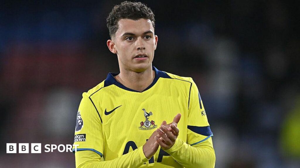 Brennan Johnson set to be in Crystal Palace’s squad to face Newcastle after Tottenham exit