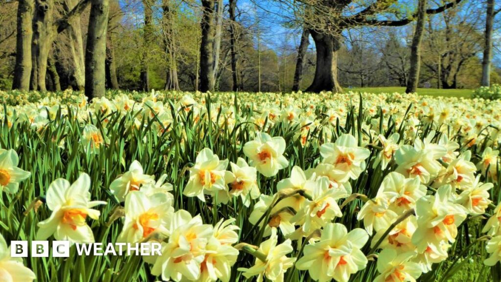 Spring-like weather in the UK