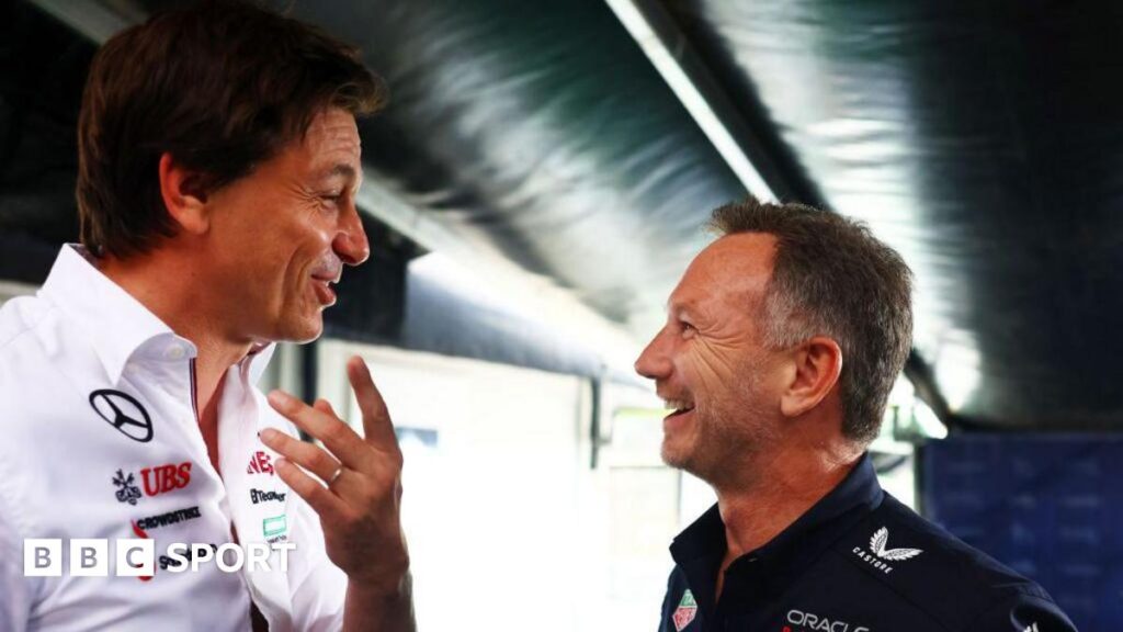Christian Horner return to F1 difficult – Toto Wolff