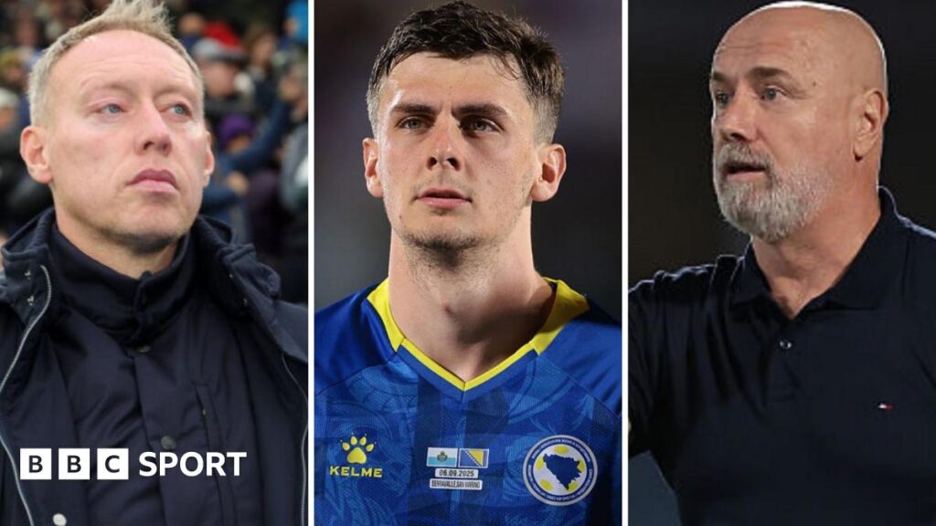 Steve Cooper: Brondby manager accused of dropping Bosnia-Herzegovina player before Wales’ match