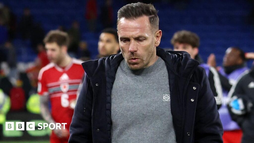 Craig Bellamy: Wales boss rues Bosnia chaos but sees bright future